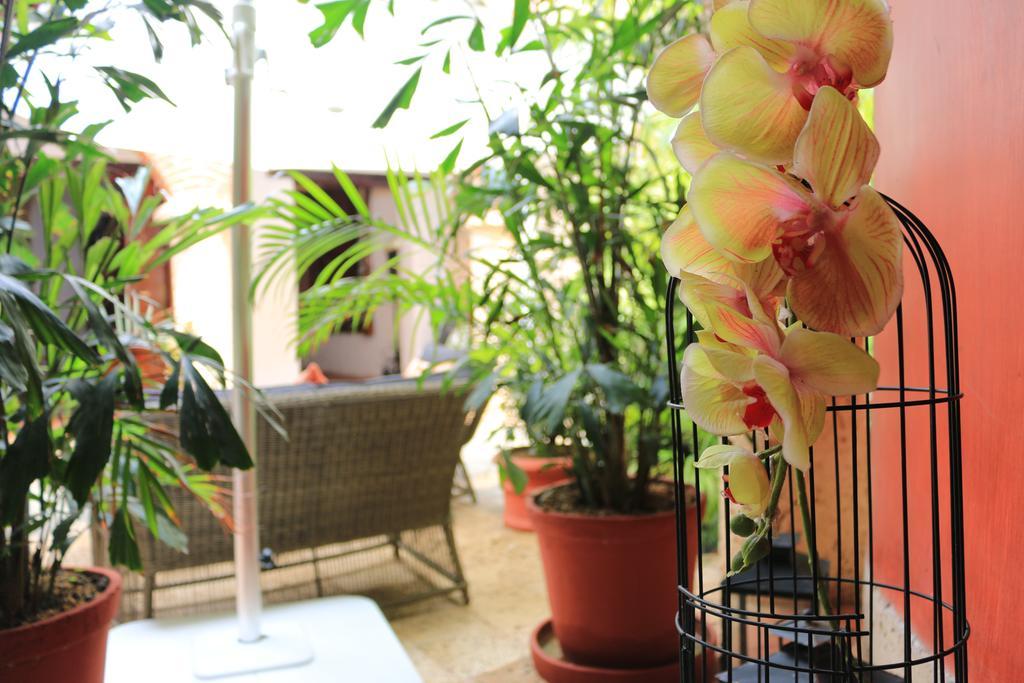 Casa De Los Reyes By Hmc Cartagena Ngoại thất bức ảnh